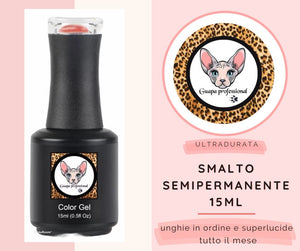 Smalto Semipermanente n 123 (15ml)